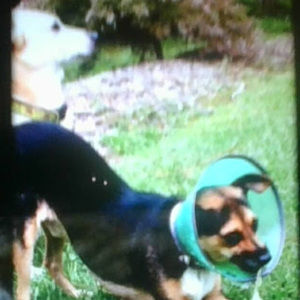 Meet your Posher, Bontu